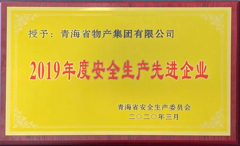 2019年度安全生產先進企業